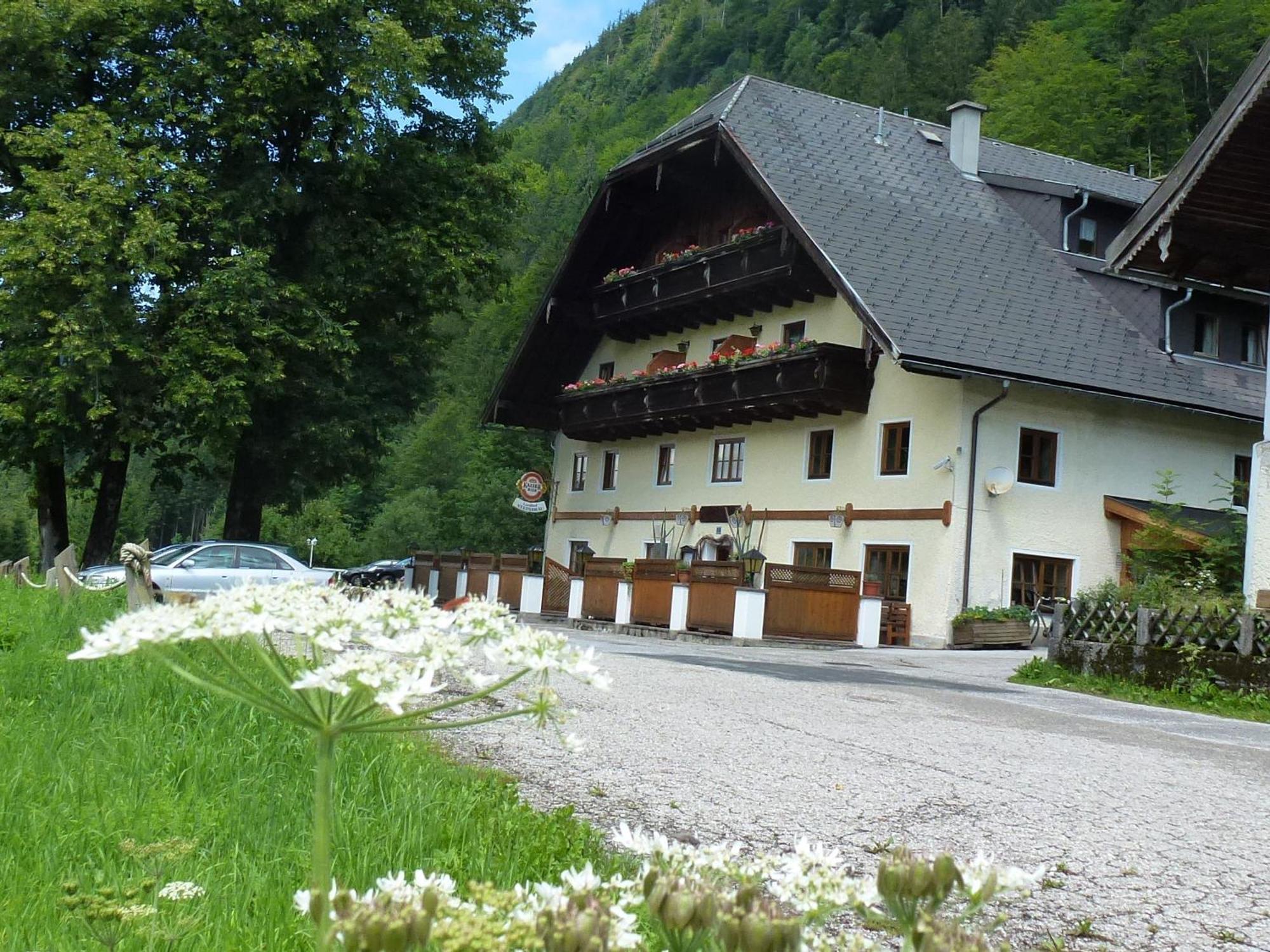 Gasthof Steinbraeu ファイステナウ エクステリア 写真